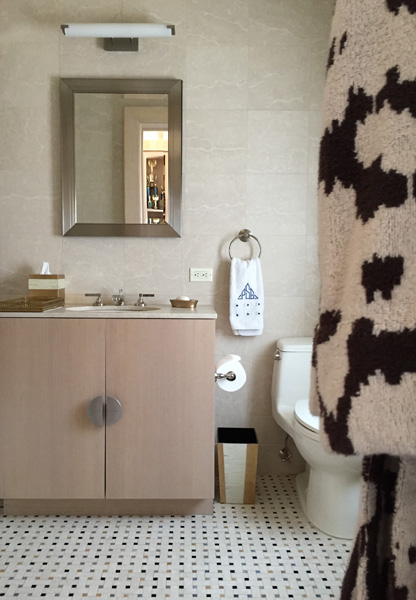 NYC Apartment Interior Design